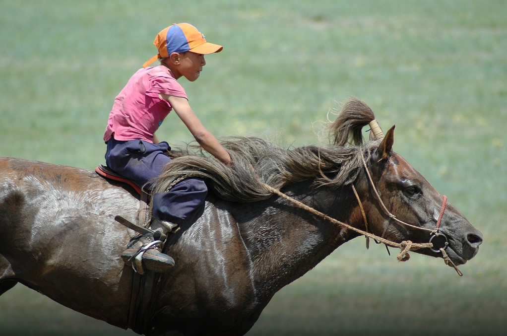 naadam mongolie