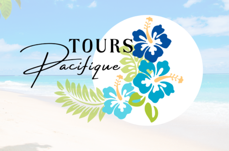 Tours pacifique avec trois fleurs d'hibiscus bleu