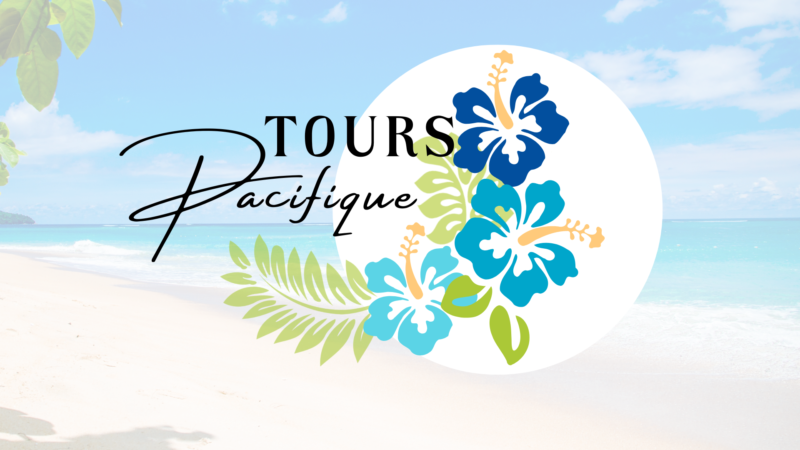 Tours pacifique avec trois fleurs d'hibiscus bleu